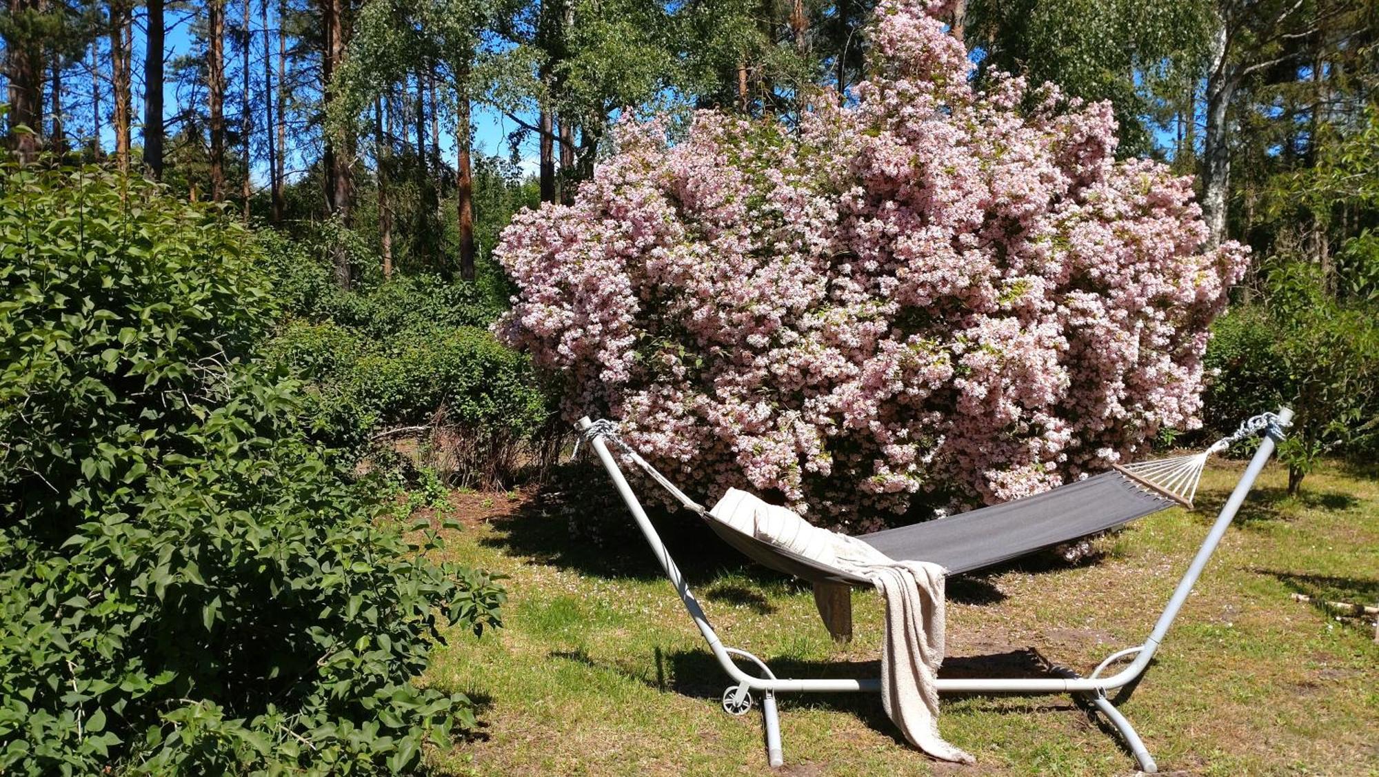 Oesterlencharm Löderup Esterno foto